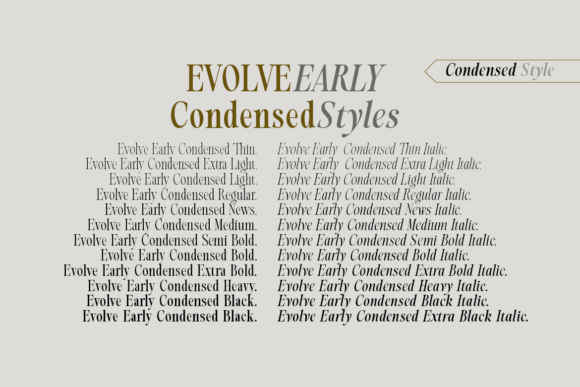 Evolve Early Consended Font - Preview 3