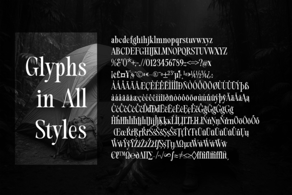 Evolve Early Consended Font - Preview 4