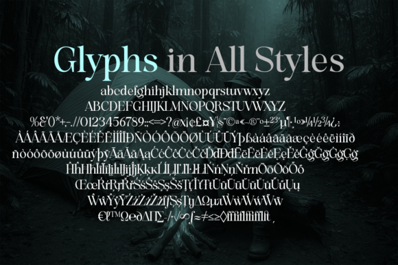 Evolve Early Expanded Font - Preview 4