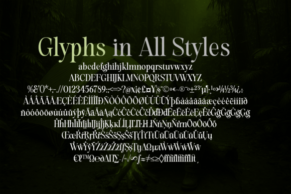Evolve Early Normal Font - Preview 4