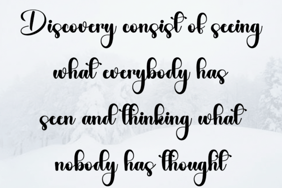 Family Calligraphy Font - Preview 3