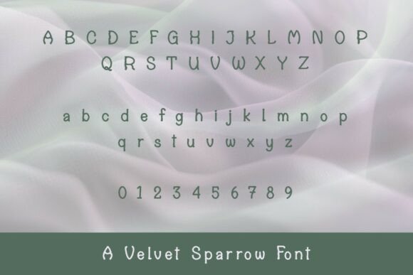 Ashen Crow Font - Preview 2