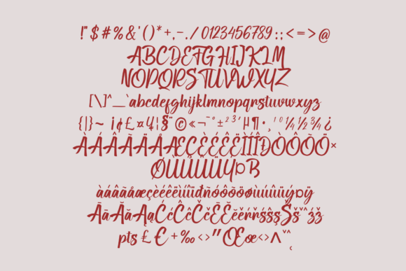 Belariva Ameralis Font - Preview 5