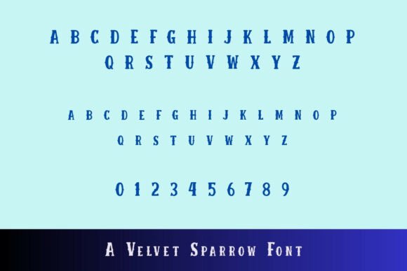 Brushed Robin Font - Preview 2