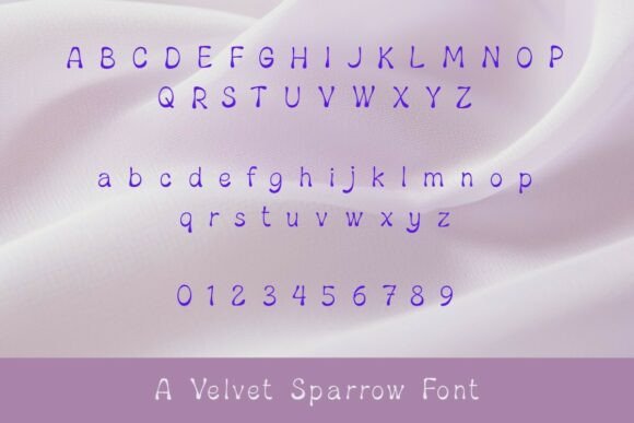 Friendly Robin Font PNG with transparent background - Preview 2