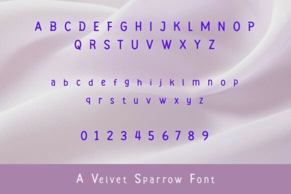 Lost Pigeon Font PNG with transparent background - Preview 2