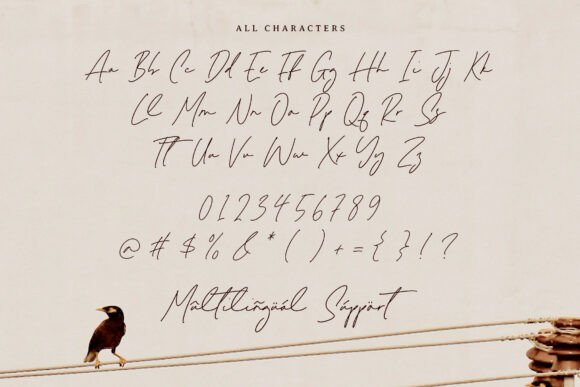 Melisma Signature Font font preview - 5
