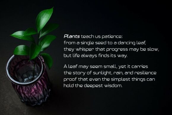 Asmora Font - Preview 4