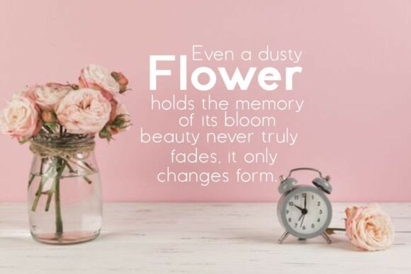 Avalia Font - Preview 3