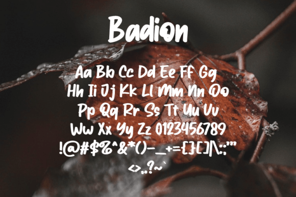 Badion Font - Preview 1