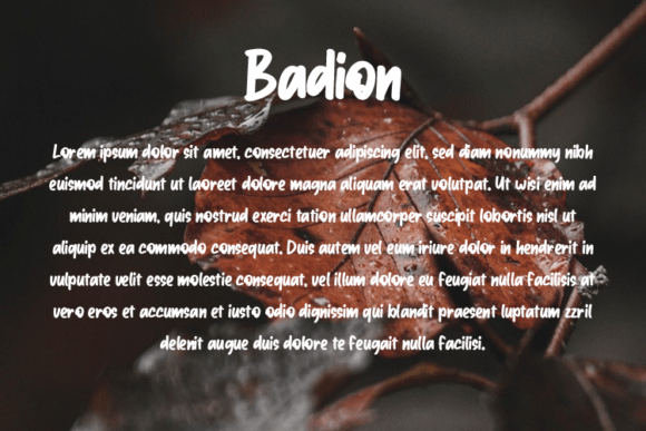 Badion Font - Preview 2