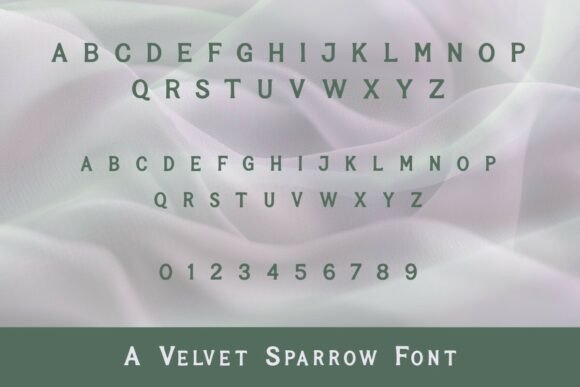 Best Sign Font - Preview 2
