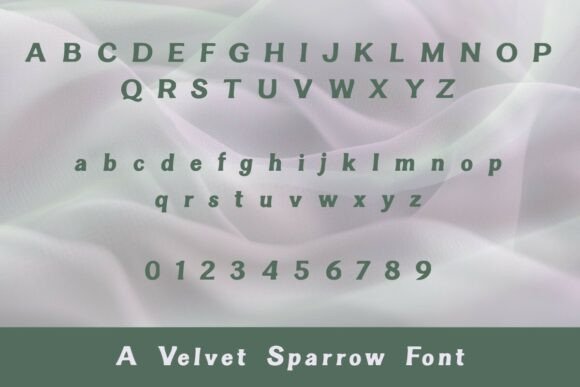 Better Sign Font PNG with transparent background - Preview 2