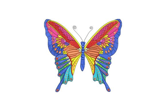 Beautiful Butterfly