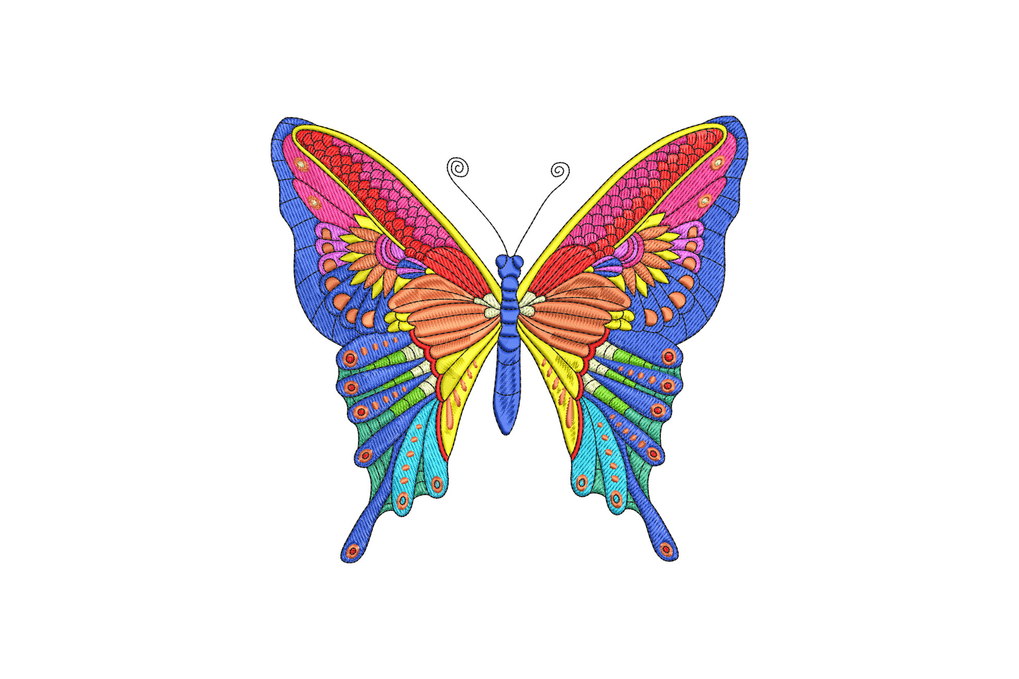 Beautiful Butterfly
