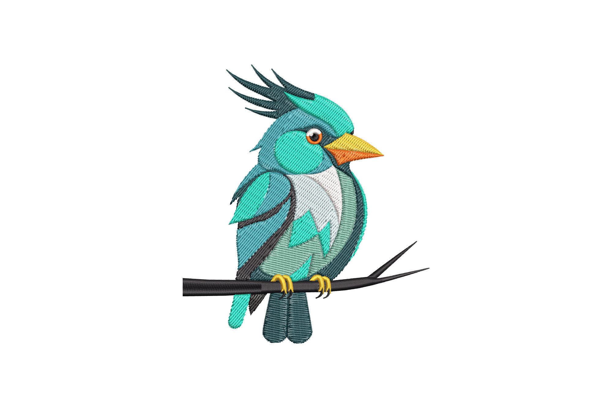 Colorful Bird