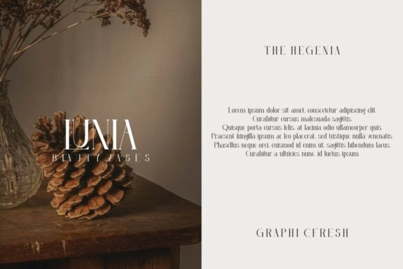 Hegelia Font - Preview 1