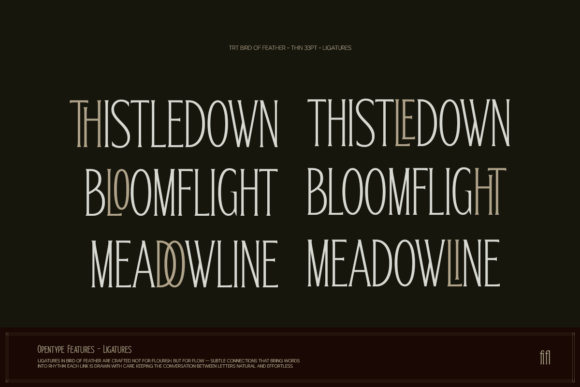 Bird of Feather Font - Preview 3