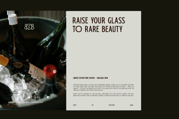Bird of Feather Font - Preview 6