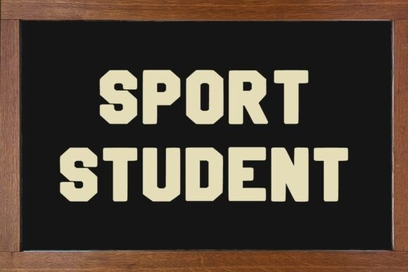Jersey School Font font preview - 1