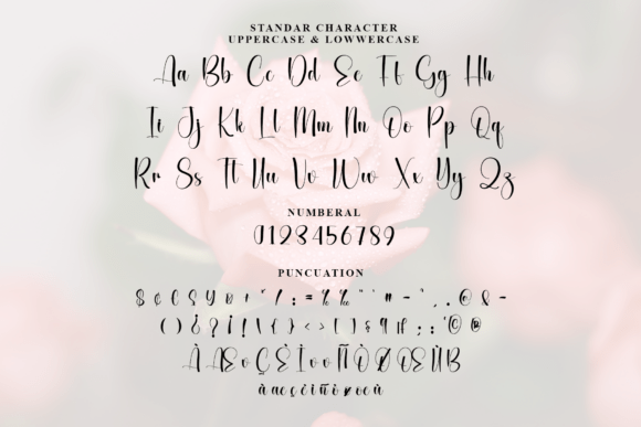 Blushing Valentine Font - Preview 6