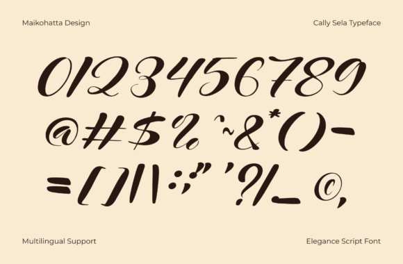 Cally Sela Font - Preview 4