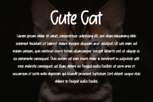 Cute Cat Font - Preview 2
