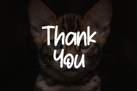 Cute Cat Font - Preview 3