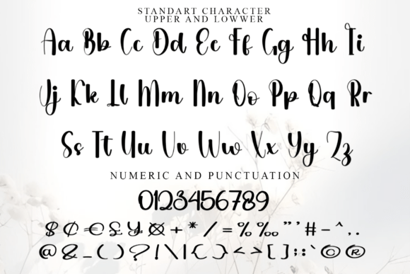 Georgeous Signature Font - Preview 4