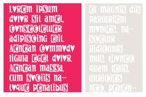 Gouda Looking Font - Preview 3