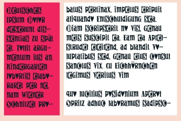 Gouda Looking Font - Preview 6