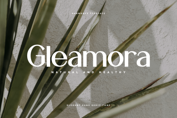 Harmonie Font - Preview 4