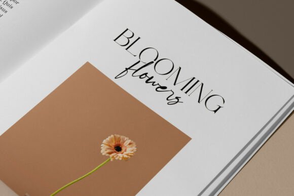 Nona Galene Font PNG with transparent background - Preview 4