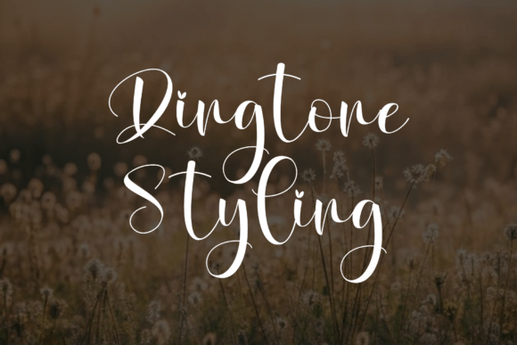 Relita Vintage Font PNG with transparent background - Preview 2
