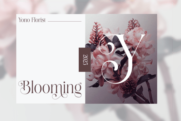 Shine Heels Font PNG with transparent background - Preview 3