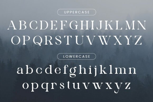 Aleona Font - Preview 5