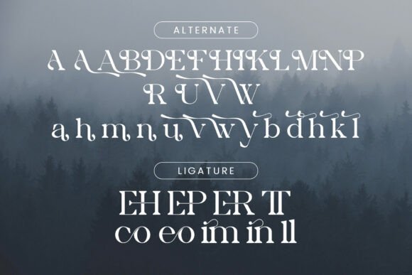 Aleona Font - Preview 6