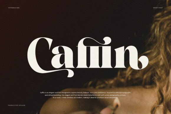 Caffin Serif Font By Perfectype