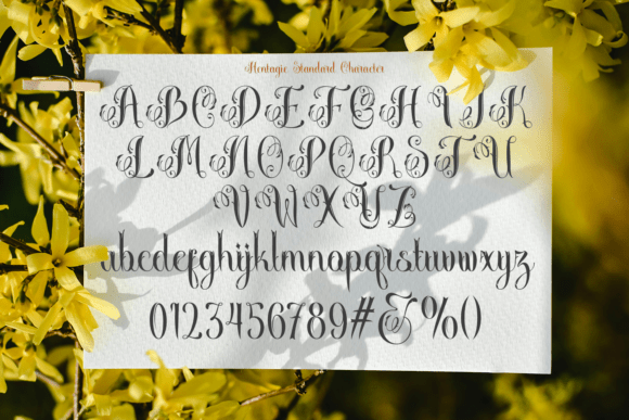Hentagie Font - Preview 4
