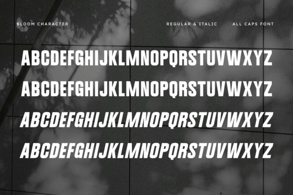 Bloom Font - Preview 1