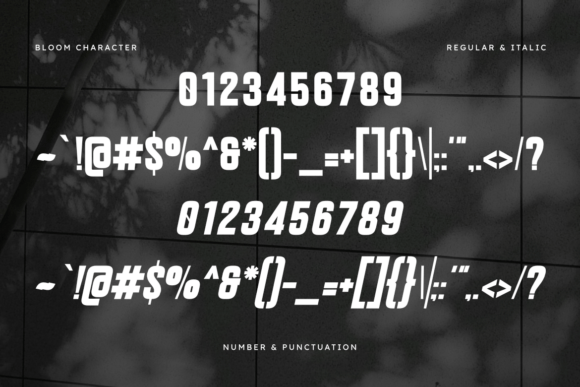 Bloom Font - Preview 2