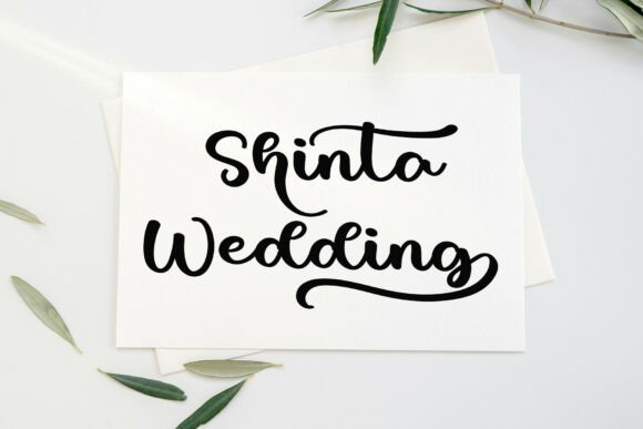 Bride Writing Font - Preview 4