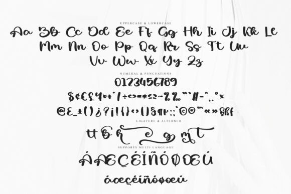 Bride Writing Font - Preview 5