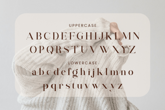 Falshe Font - Preview 5