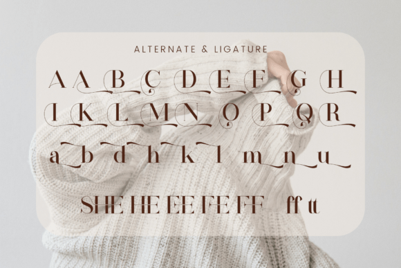 Falshe Font - Preview 6