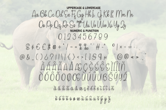 Elephant Font - Preview 6