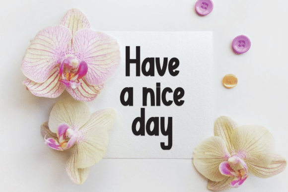 Kind Party Font PNG with transparent background - Preview 2
