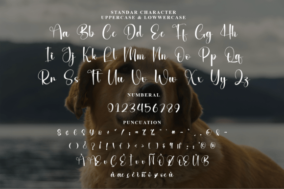 Blinking Font - Preview 6