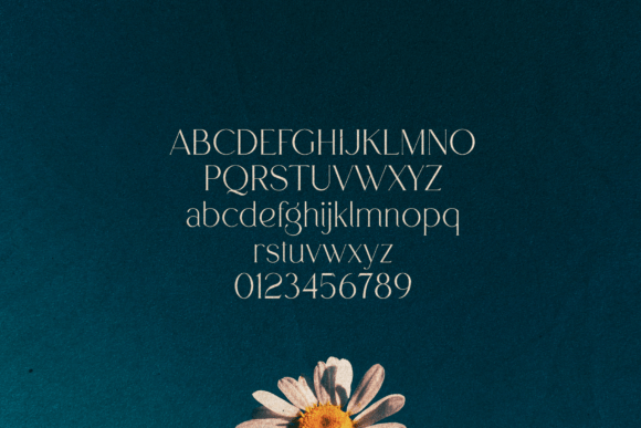 Alpas Font - Preview 1