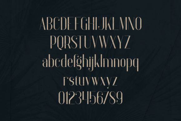 Anteric Font - Preview 1